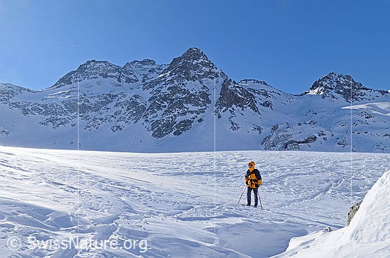 Foto: Föhnsturm in schneebedeckter Berglandschaft. Eine Schneeschuhläuferin ist unterwegs. Im Hintergrund sind Albrunhorn, Valdeserta (Übergang) und Bochtehorn zu sehen.