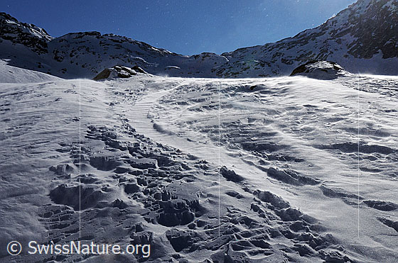 Foto: Wind und verwehte Spuren im Schnee. Berglandschaft im Gegenlicht bei starkem Wind. Lockerer Schnee wird verfrachtet und verweht in kurzer Zeit eine Aufstiegsspur. Die Schneeoberfläche weist Strukturen auf.
