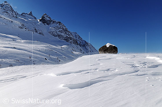 Foto: Schneeverfrachtung. Wind fegt über die Schneeoberfläche und verfrachtet den Schnee Richtung Felsblock (Kultstein). Im Hintergrund sind Bochtehorn, Kleines Schinhorn und Seewischhorn zu sehen.