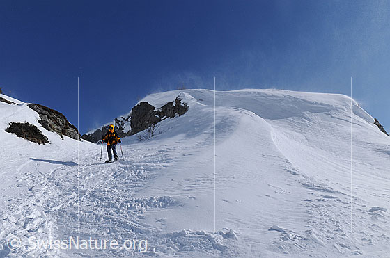 Foto: Schneeschuhläuferin im Föhnsturm beim Abstieg durch ein Tälchen neben einem Felskopf mit Schneefahne und Schneeverwehung.