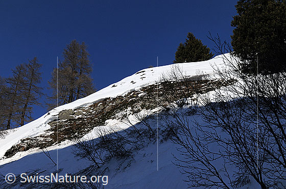 Foto: Anrissstelle eines Schneebretts.