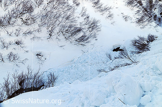 Foto: An einer Flanke einer Schlucht hat sich ein Nassschneerutsch ereignet.