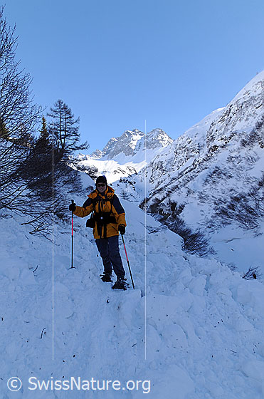 Foto: Schneeschuhläuferin beim Queren eines Lawinenkegels.