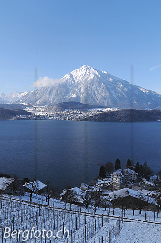 Foto: Niesen. Blick über einen schneebedeckten Rebberg am Thunersee zur frisch verschneiten Niesenpyramide.