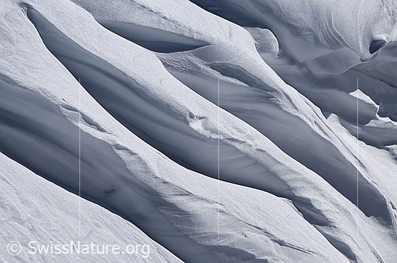 Foto: Vom Wind geschaffene Struktur in einer Wächte. Der starke Wind verfrachtet und formt den Neuschnee. Zurück bleiben formschöne Strukturen und Formen wie auf dem Foto. Leider aber auch gefährliche Triebschneeansammlungen und Wächten.