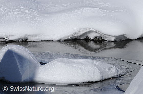Foto: Schnee und Eis an einem Wasserlauf. Die Form der Schneedecke und die Steine am Ufer spiegeln sich auf der Eisoberfläche.