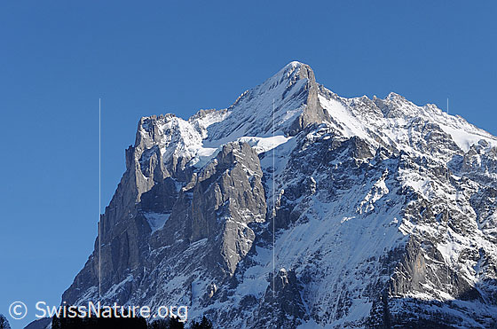 Foto: Scheideggwetterhorn und Wetterhorn.