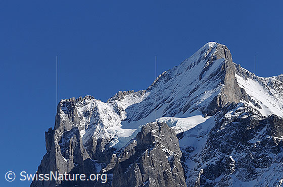 Foto: Scheideggwetterhorn, Wetterhorn und Gutzgletscher.