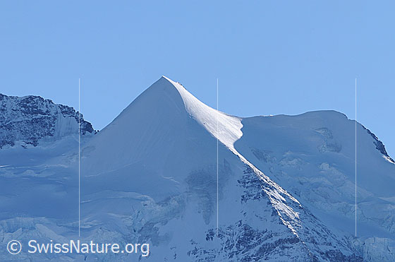Foto: Silberhorn und Goldenhorn. Links vom Silberhorn liegt die Silberlücke, von welcher das Silbergrätli nach links hochzieht. Am Fuss der Silberlücke liegt die Silbermulde.
Via Silbermulde - Silberlücke - Silbergrätli führt die Guggiroute zur Jungfrau.
Rechts vom Goldenhorn ist der oberste Teil des Rotbrättgrats (Nordwestgrat) zu sehen.
Links der Giesengletscher, rechts der Silberhorngletscher.