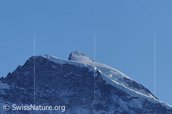 Foto: Portrait Jungfrau. Wengen Jungfrau, Silbergrätli und Jungfrau. Von rechts zieht der Hochfirn Richtung Gipfel hoch. Davor die abweisende Nordwand der Wengen Jungfrau.