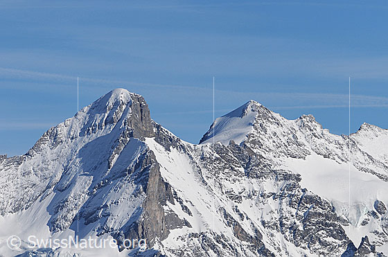 Foto: Wetterhorn, Mittelhorn und Rosenhorn.
Wetterhorn: Links der Nordwestgrat. ca. in der Falllinie des Gipfels der Südwestgrat, welcher sich von der Chrinne zum Gipfel hochzieht. Rechts vom Wetterhorn der Wettersattel, links davon das Willsgrätli, über welches die Normalroute von der Glecksteinhütte auf das Wetterhorn führt.
Mittelhorn: Vom Wettersattel führt die Westflanke und der Westgrat hoch zum Mittelhorn.
Gletscher: Am Fuss des Wetterhorns der Gutzgletscher. Im rechten Bildteil ist ein Ausläufer des Oberen Grindelwaldgletschers zu sehen.