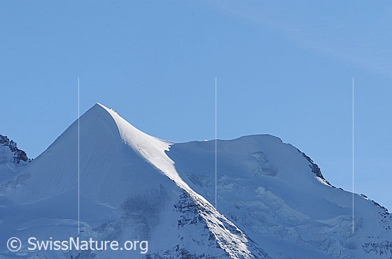 Foto: Silberhorn und Goldenhorn. Dazwischen der Silberhorngletscher.
Silberhorn: Die Nordwestrippe (Hornby-Grat) fällt vom Gipfel nach rechts ab.
Goldenhorn: Vom rechten Bildrand zieht sich der Rotbrättgrat (Nordwestgrat)