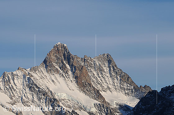 Foto: Schreckhorn und Lauteraarhorn.
Gletscher: Nässigletscher und Schreckfirn.