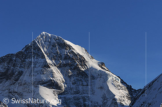 Foto: Mönch im Abendlicht. Links im Bild die Nordwandrippe (Lauper-Route) rechts das Nordwestbollwerk (Nollen). Dazwischen die Nordwand.