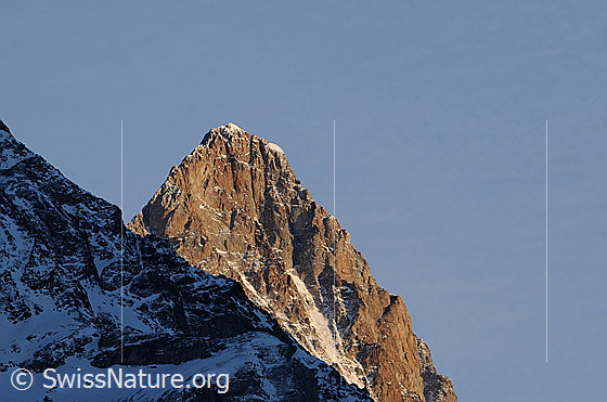 Foto: Schreckhorn im Abendlicht. Rechts der SW-Grat, über welchen die Normalroute führt. Links der Anderson-Grat.