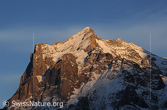 Foto: Scheideggwetterhorn und Wetterhorn im Abendlicht.