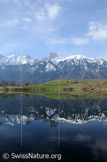 Foto: Spiegelbild Stockhorn. Die verschneiten Berge und die frühlingshafte Landschaft spiegeln sich im Übeschisee.