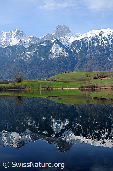 Foto: Berge mit Spiegelung im Wasser. Stockhorn mit Schnee und sein Abbild im spiegelglatten Übeschisee. Die Wiesen im Uferbereich sind bereits grün.