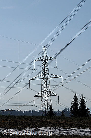 Foto: Hochspannungsmast und Hochspannungsleitungen.