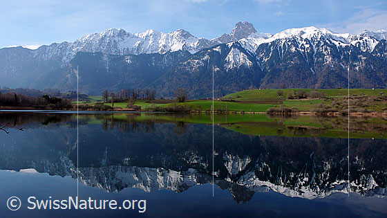 Foto: Spiegelung der Berner Voralpen im See. Die verschneite Stockhornkette und das grüne Hügelland spiegeln sich im ruhigen Wasser des Übeschisee.