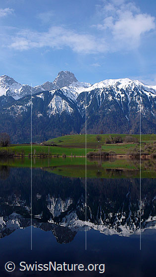 Foto: Berg mit Spiegelung. Klare Spiegelung der Frühlingslandschaft im Übeschisee. Das verschneite Stockhorn und die grüne Landschaft am Ufer spiegeln sich im ruhigen Wasser.