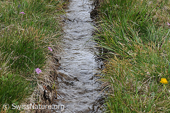 Foto: Wasserleite (Suone) mit fliessendem Wasser zur Bewässerung der Felder.