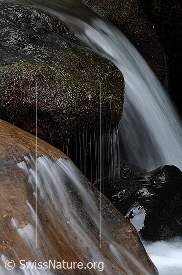 Foto: Über Felsen fliessendes Wasser in einem Bergbach.