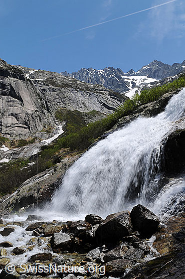 Foto: Erfrischender Wasserfall umgeben von grünen Kleinsträuchern in felsigem Gelände und den Hinteren Gelmerhörnern.