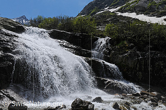 Foto: Ein erfrischender Wasserfall ergiesst sich über Felsstufen ins Bachbett.