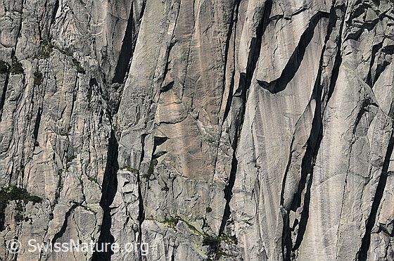 Foto: Felsspalten, Schuppen und Strukturen in einer Felswand.