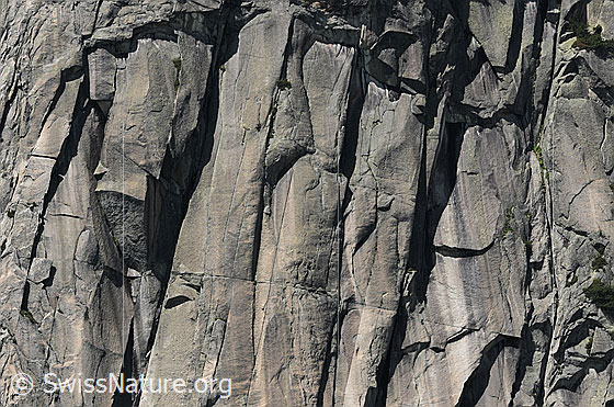 Foto: Strukturen in einer Felswand mit Rissen, Spalten und Schuppen.