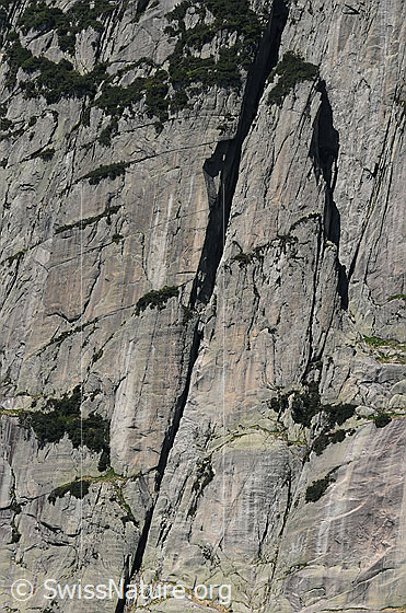 Foto: Verschneidung in einer Felswand.