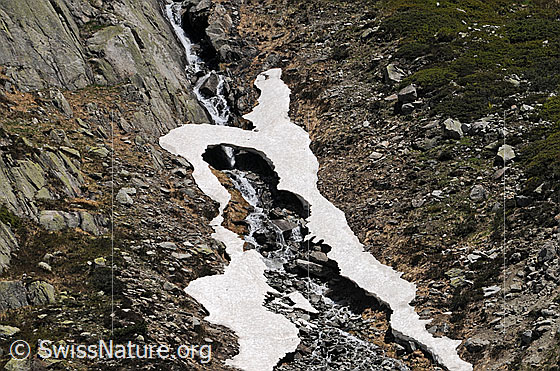 Foto: Schneereste mit dünner Schneebrücke über einen Bergbach.