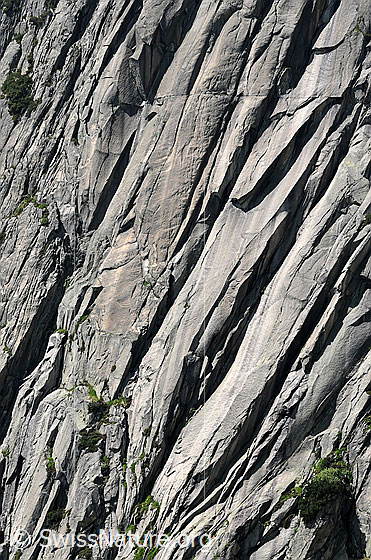 Foto: Felsschuppen und Risse in einer Felswand.