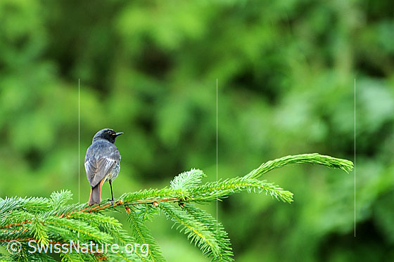 Photo: 