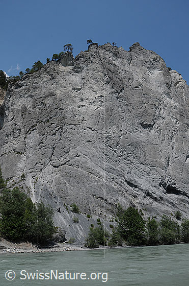 Foto: Ruinaulta. Felswand und Fluss in der Rheinschlucht. Der Vorderrhein fliesst ruhig an der hellen Kalksteinwand vorüber. Die Wand weist interessante Strukturen auf.