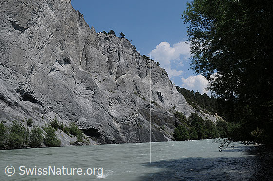 Foto: Vorderrhein und Felswand aus Kalkgestein in der Rheinschlucht. Die Wand weist Löcher und Zinnen auf.