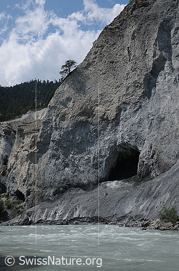 Foto: Höhle in einer Felswand der Rheinschlucht. Am Flussufer sind Erosionsspuren sichtbar.