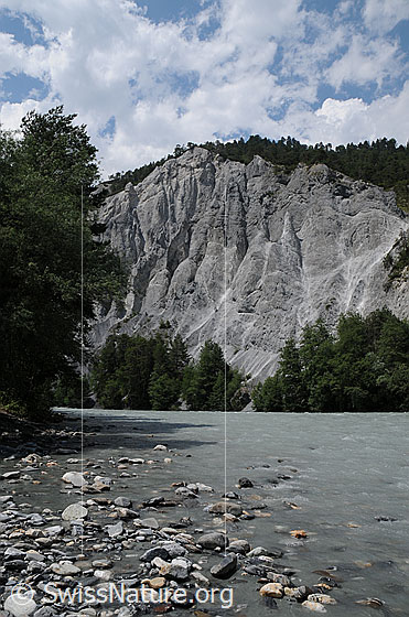 Foto: Rheinschlucht mit ruhigem Fluss und mächtiger Felswand mit Furchen und Felstürmen.