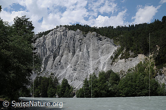 Foto: Rheinschlucht und Flusslandschaft Vorderrhein mit ruhigem Fluss, Wald und mächtiger Felswand mit Furchen und Felstürmen.