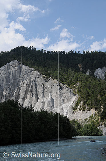 Foto: Wälder und Felswand in der Ruinaulta. Die helle Felswand der Schlucht ist zerfurcht und weist interessante Formen und Felstürme auf.