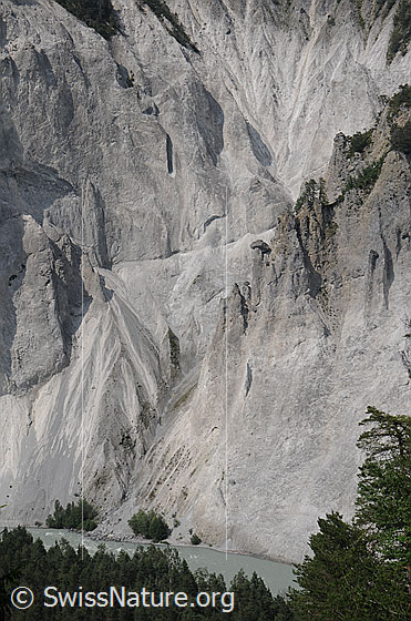 Foto: Tiefblick in die Rheinschlucht mit mächtigen Kalksteinwänden, welche interessante Formen aufweisen. Durch Erosion entstehen neue Furchen, Felstürme und Grate.