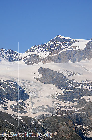 Foto: Piz Cambrena und Vadret dal Cambrena.