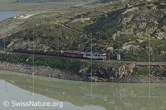Foto: Rhätische Bahn (UNESCO-Welterbe) auf der Bergstrecke zum Berninapass. Zwei Lockomotiven ziehen die mit Baumstämmen beladenen Bahnwagen den Pass hoch. Der Eisenbahnzug spiegelt sich im Lago Bianco.