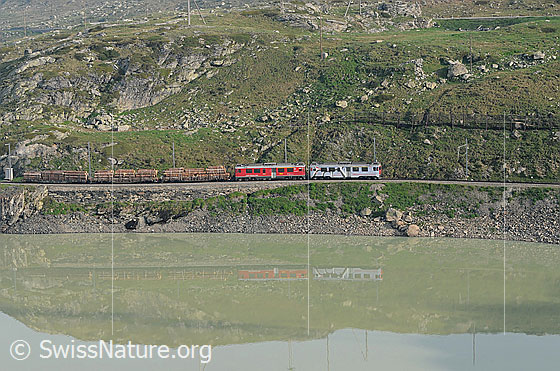 Foto: Rhätische Bahn mit Holztransport auf dem Berninapass. Die Eisenbahn spiegelt sich im Lago Bianco.