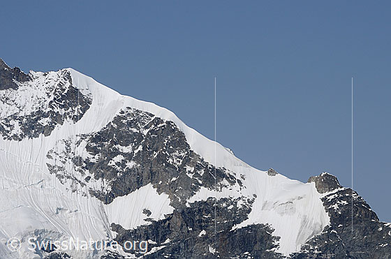 Foto: Biancograt am Piz Bernina.
