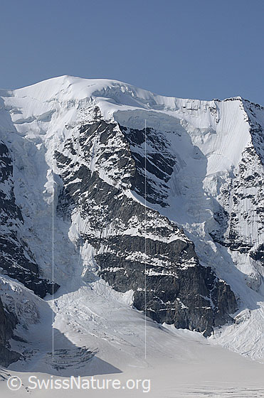 Foto: Piz Palü, Hauptgipfel und Bumiller-Pfeiler.