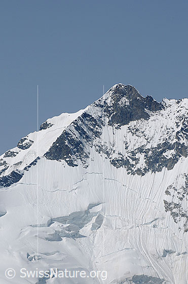 Foto: Piz Bernina, Gipfelbereich.