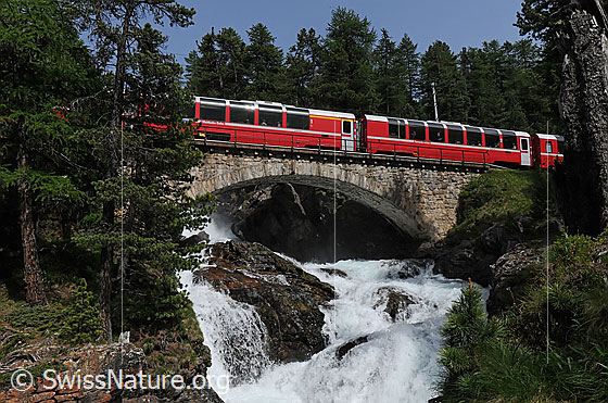Foto: Vorbeifahrender Personenzug der Rhätischen Bahn über eine Brücke. Die Brücke quert eine kleine Schlucht mit tosendem Wasserfall.