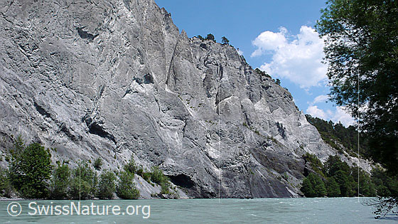 Foto: Vorderrhein und Felswand aus Kalkgestein in der Rheinschlucht. Die Wand weist Löcher und Zinnen auf.